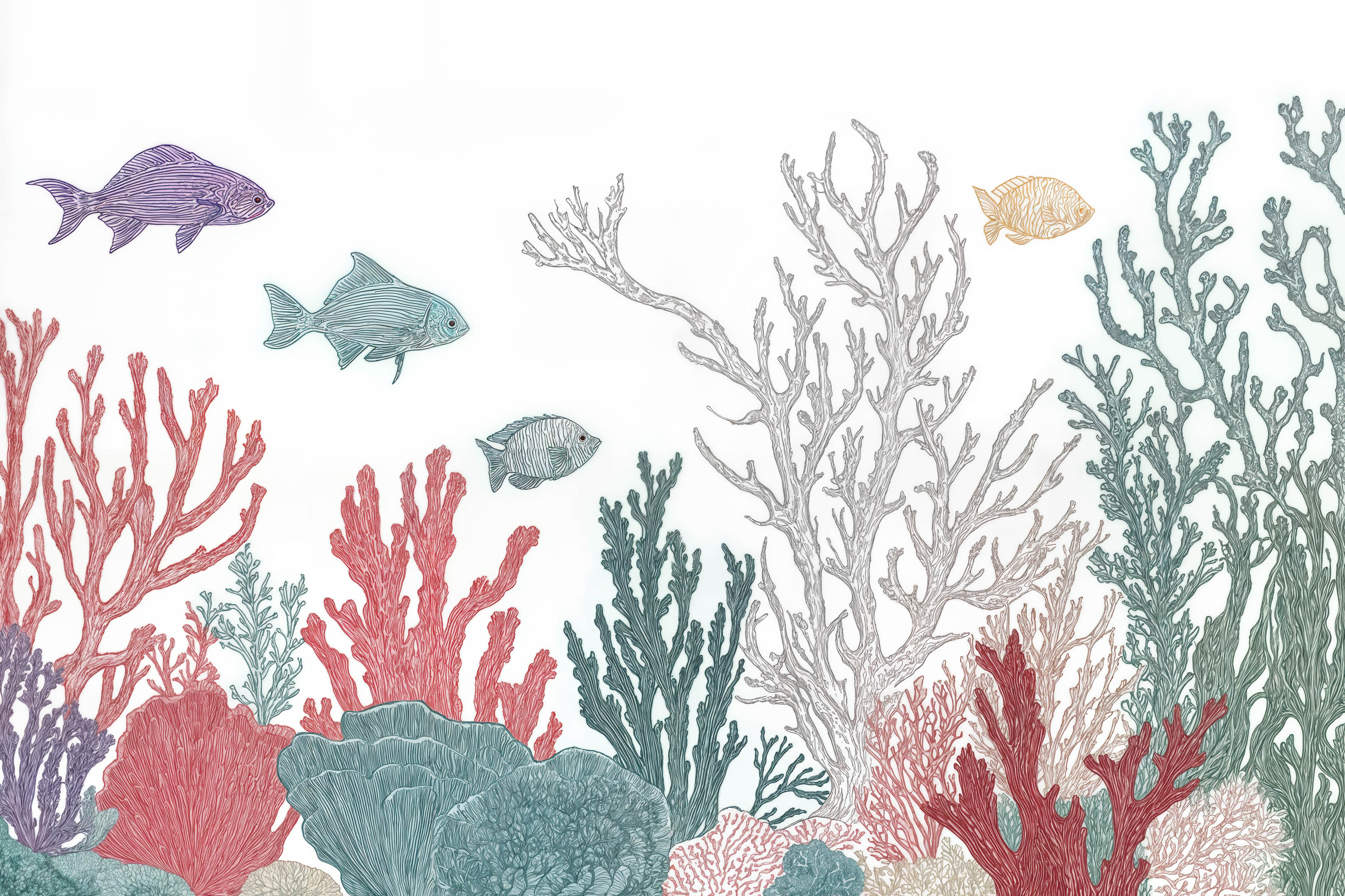 Coral Reef