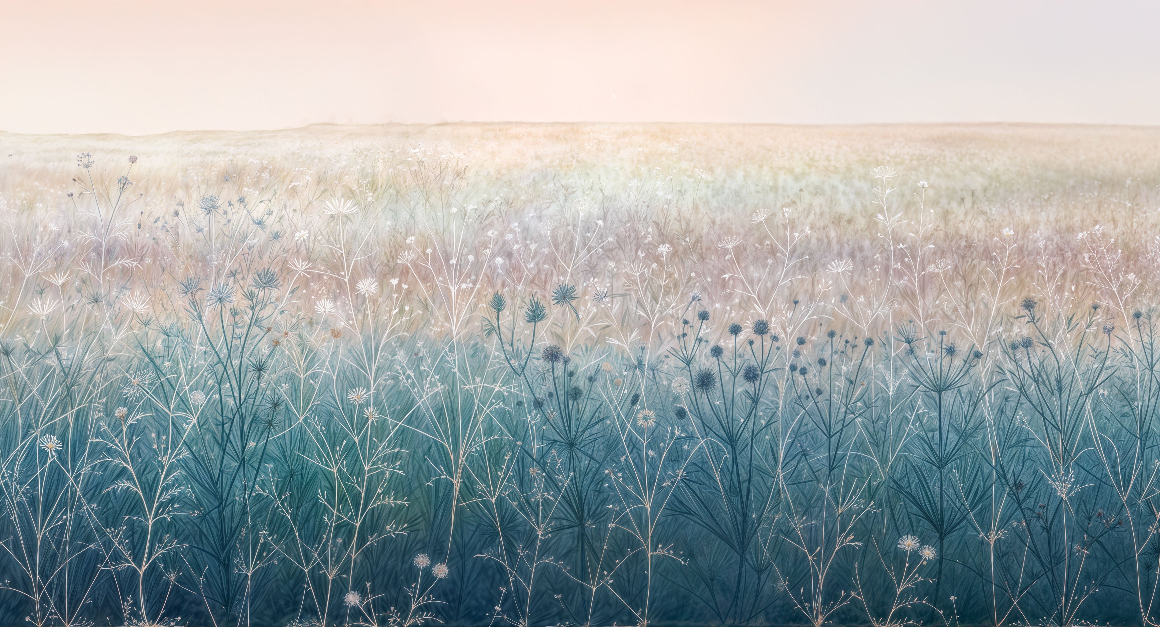 Dawn Meadow