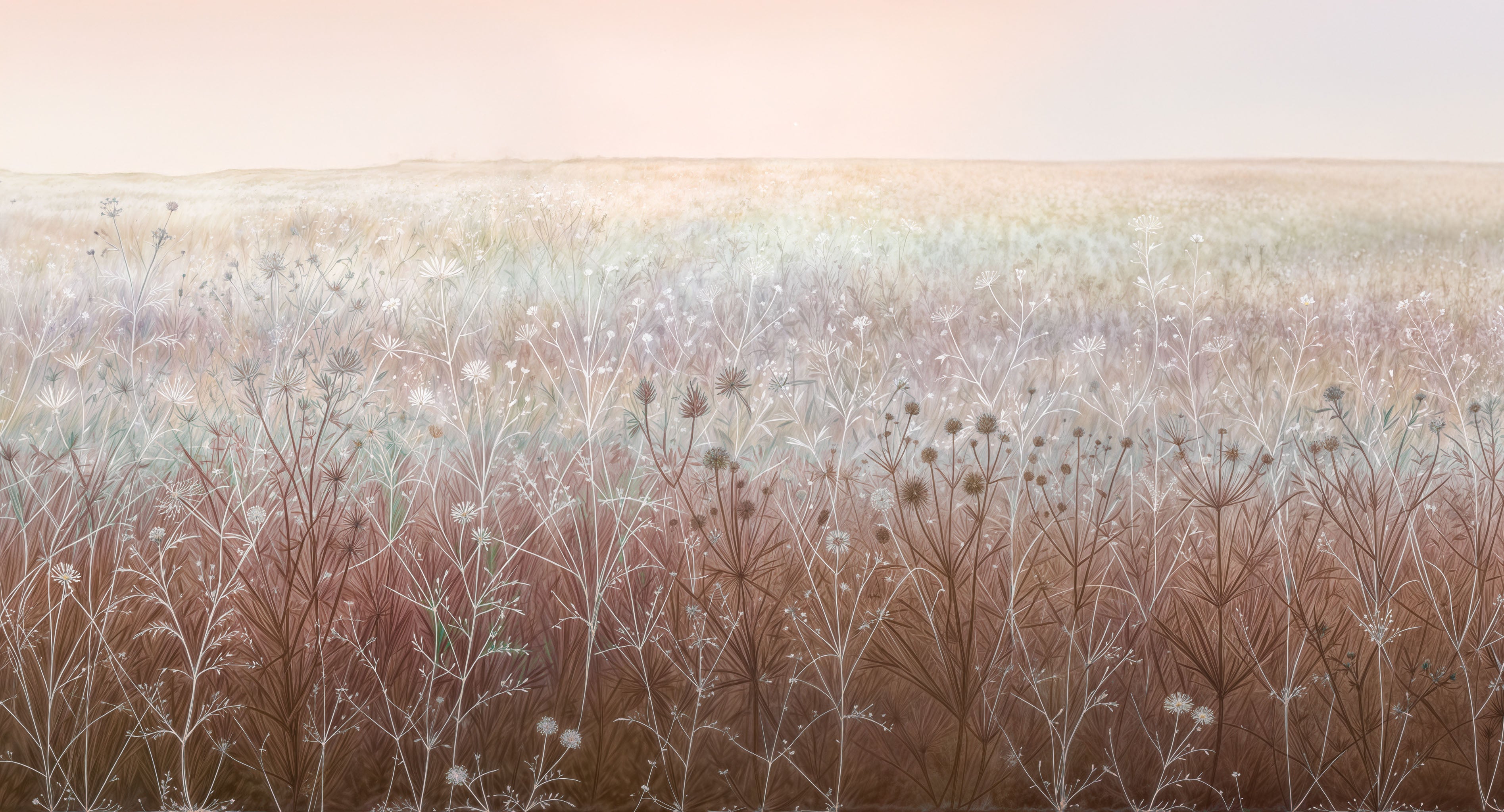 Dawn Meadow